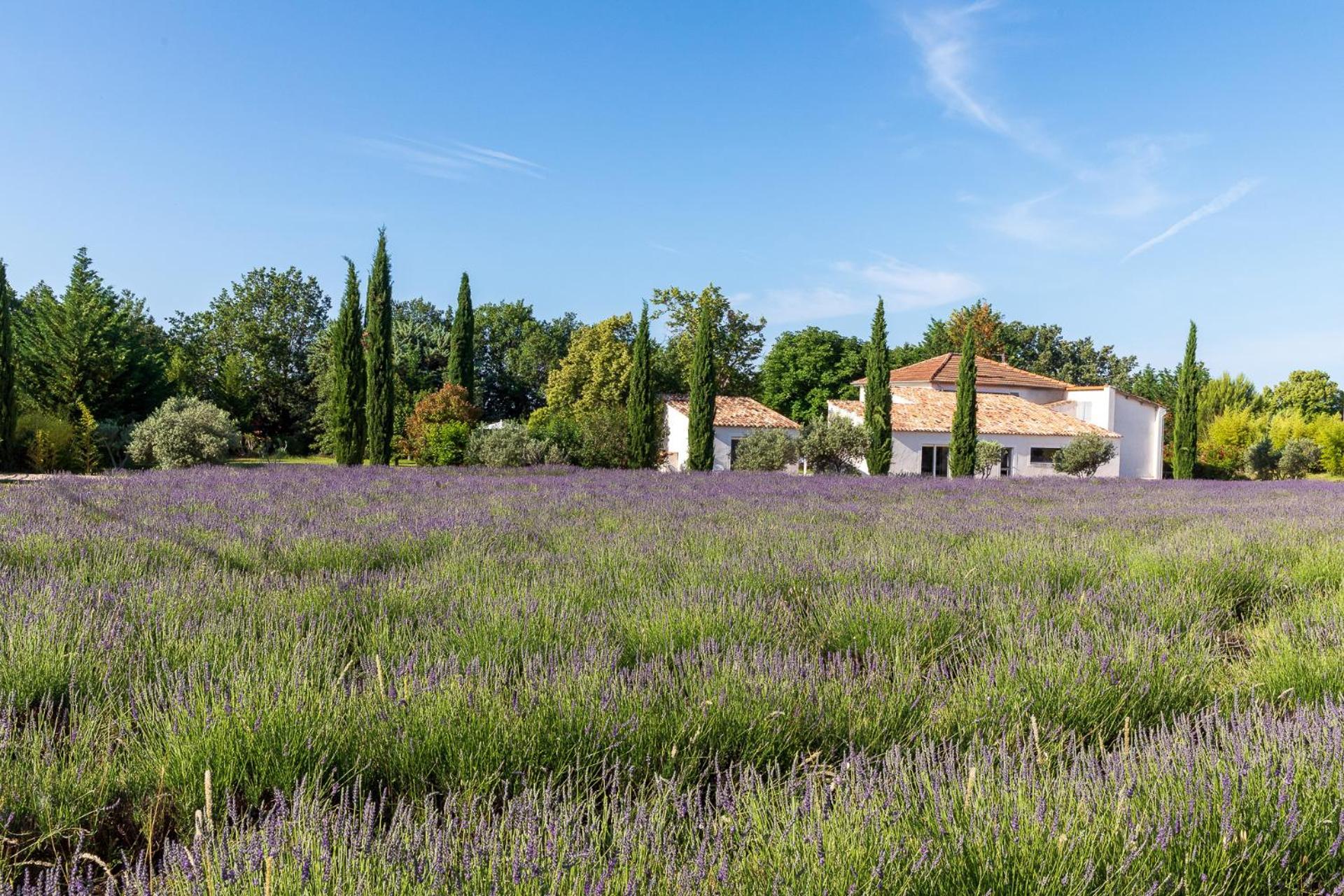 Hotel Bastide De Damien Aix-en-Provence Exterior foto