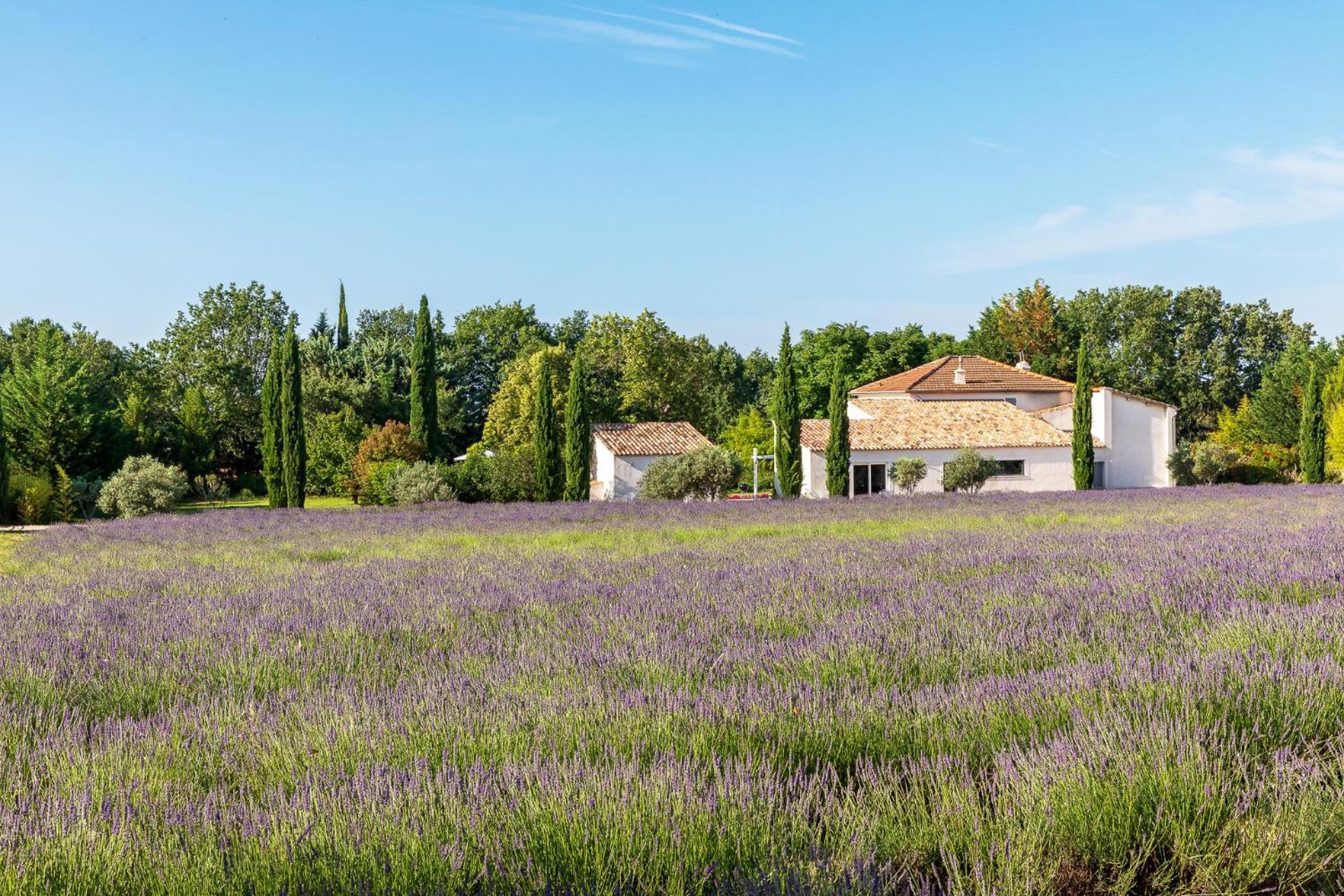 Hotel Bastide De Damien Aix-en-Provence Exterior foto