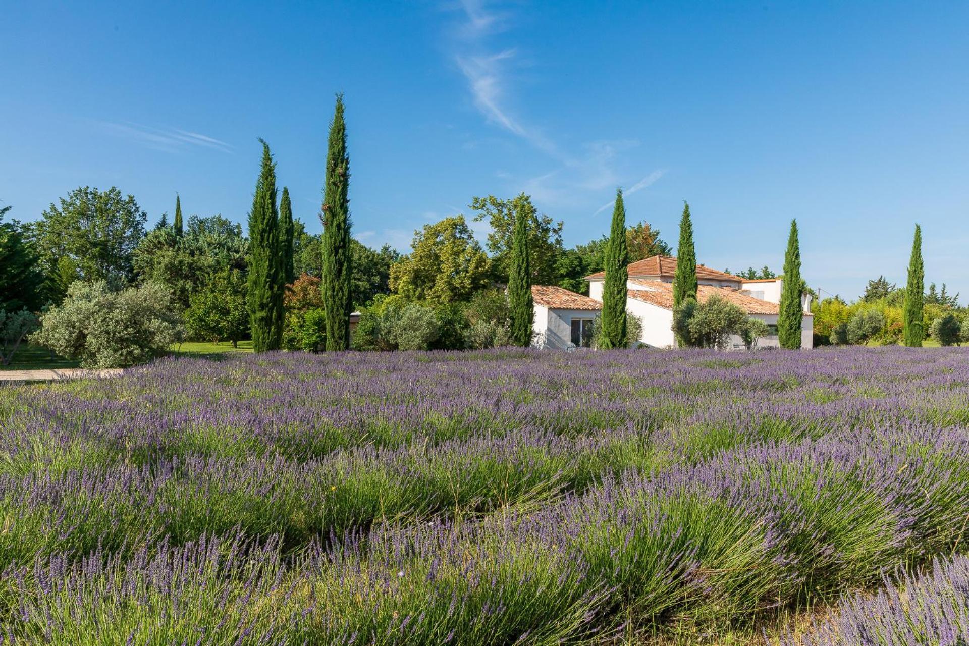 Hotel Bastide De Damien Aix-en-Provence Exterior foto