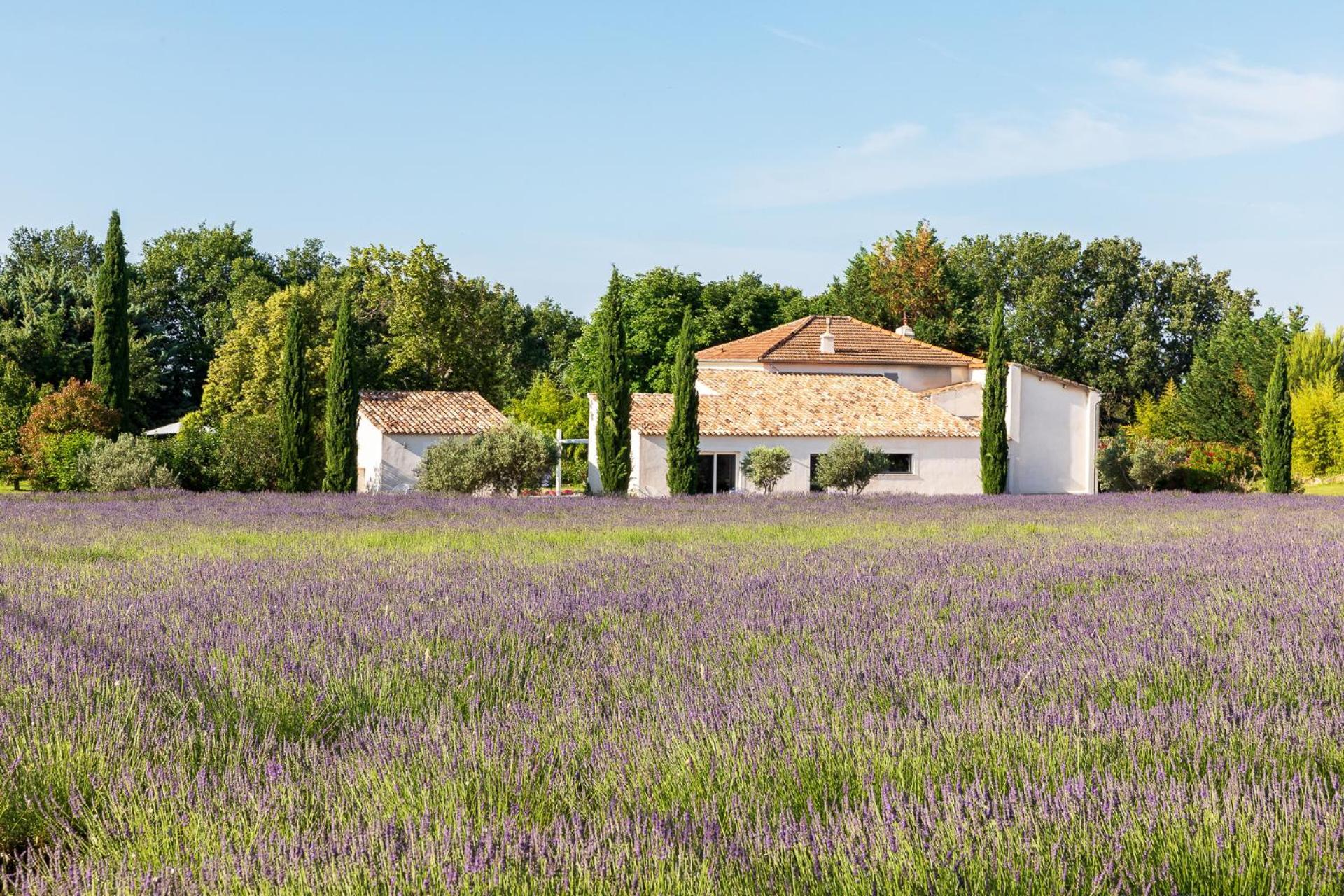 Hotel Bastide De Damien Aix-en-Provence Exterior foto